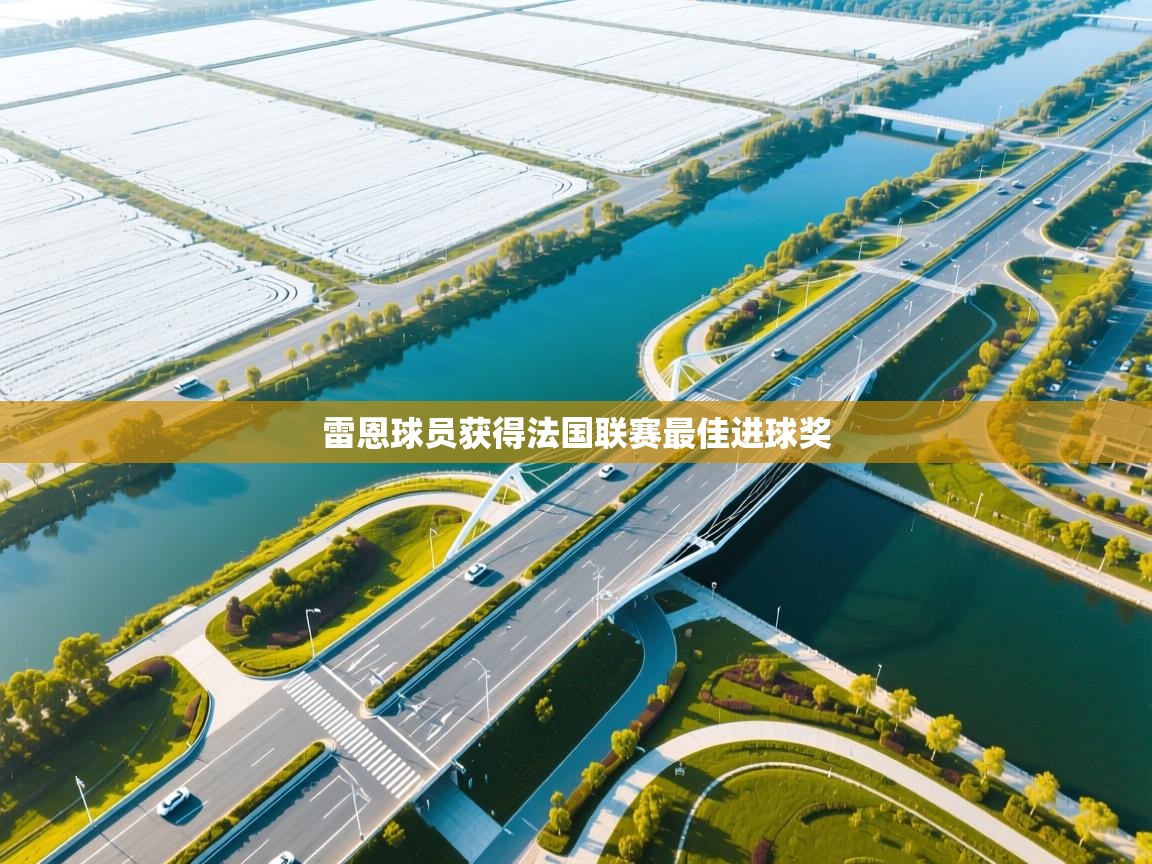 雷恩球员获得法国联赛最佳进球奖