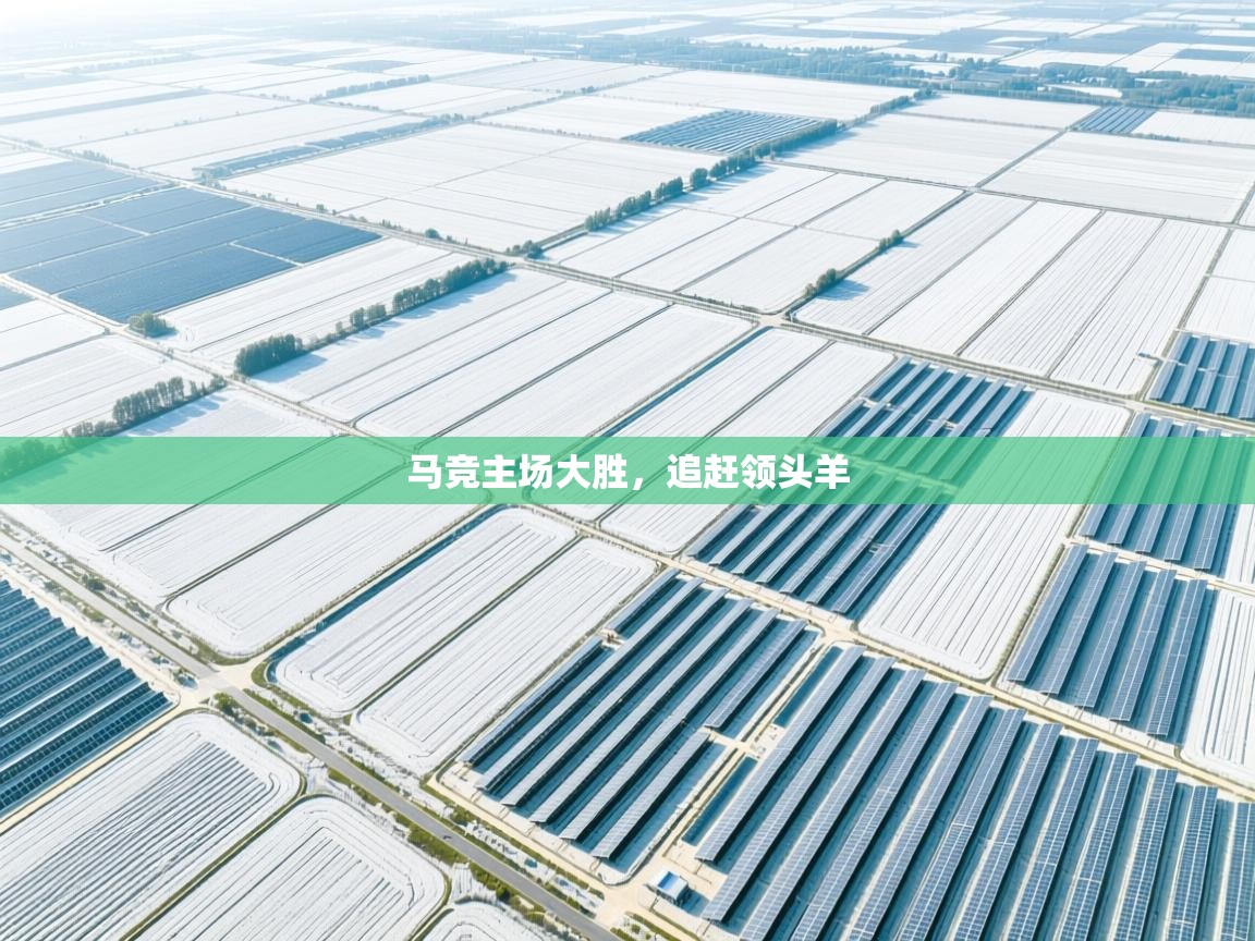 马竞主场大胜,追赶领头羊 第2张