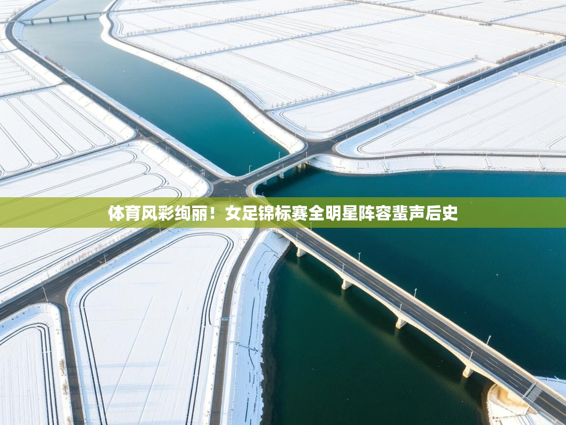 体育风彩绚丽！女足锦标赛全明星阵容蜚声后史