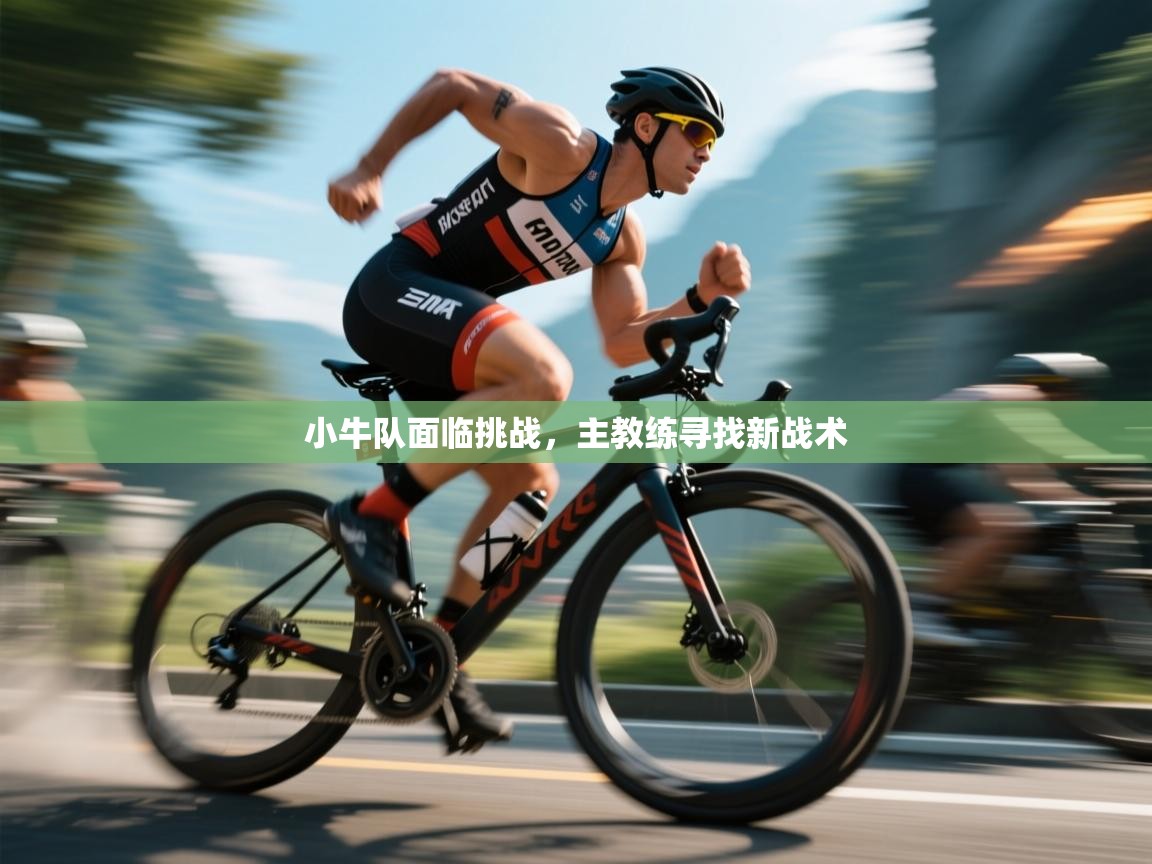 小牛队面临挑战，主教练寻找新战术