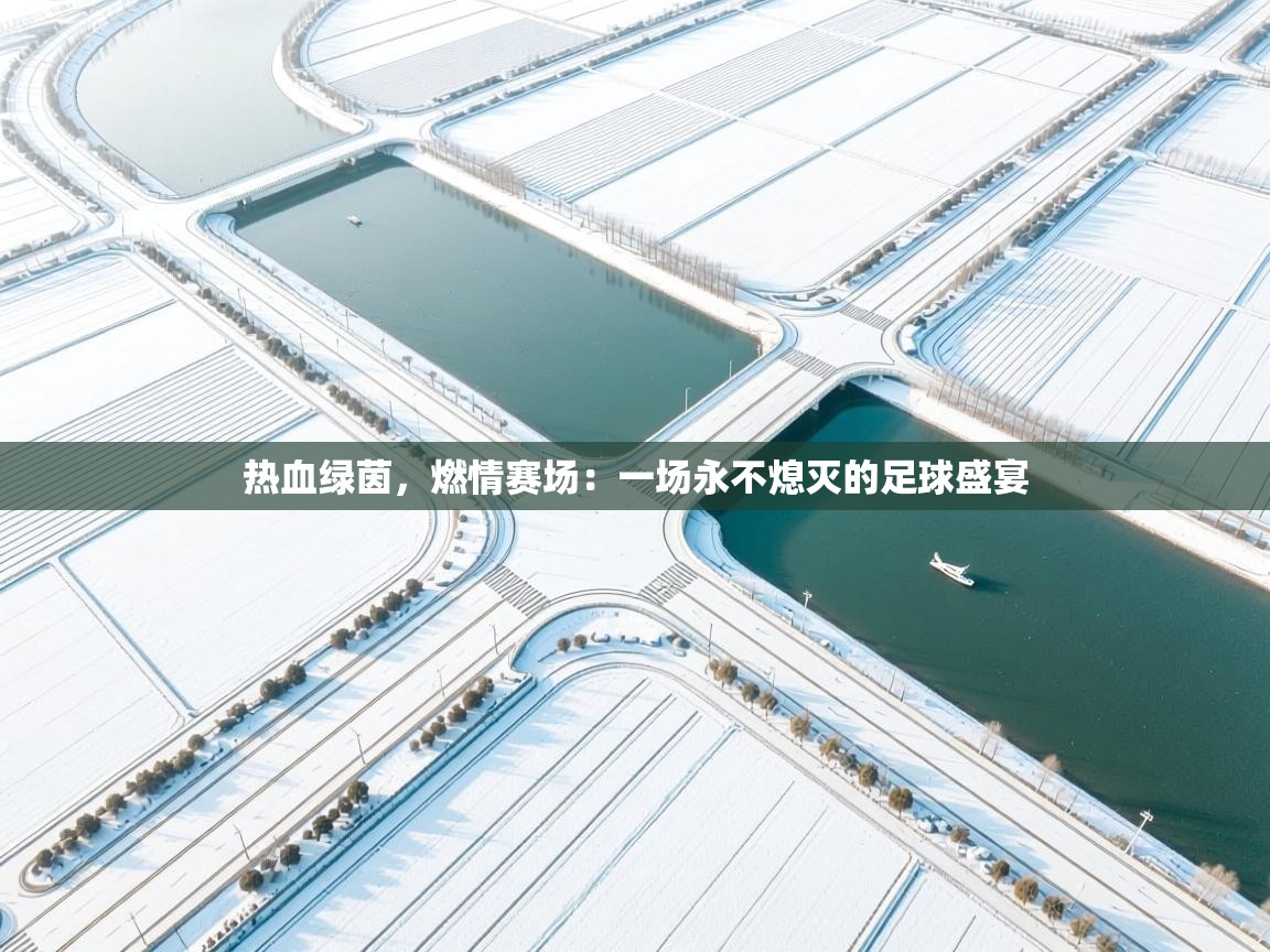 热血绿茵，燃情赛场：一场永不熄灭的足球盛宴