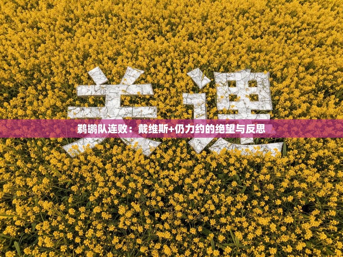 鹈鹕队连败:戴维斯+仍力约的绝望与反思